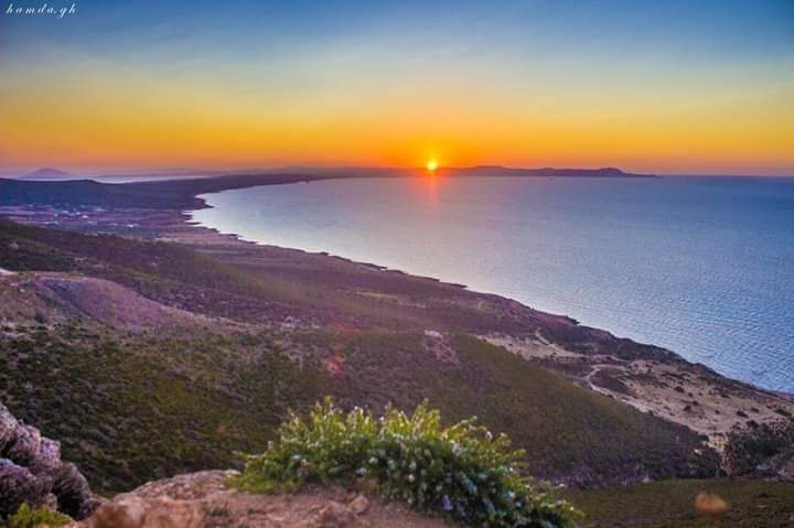 Vente&nbsp;Surfaces - Tunisie