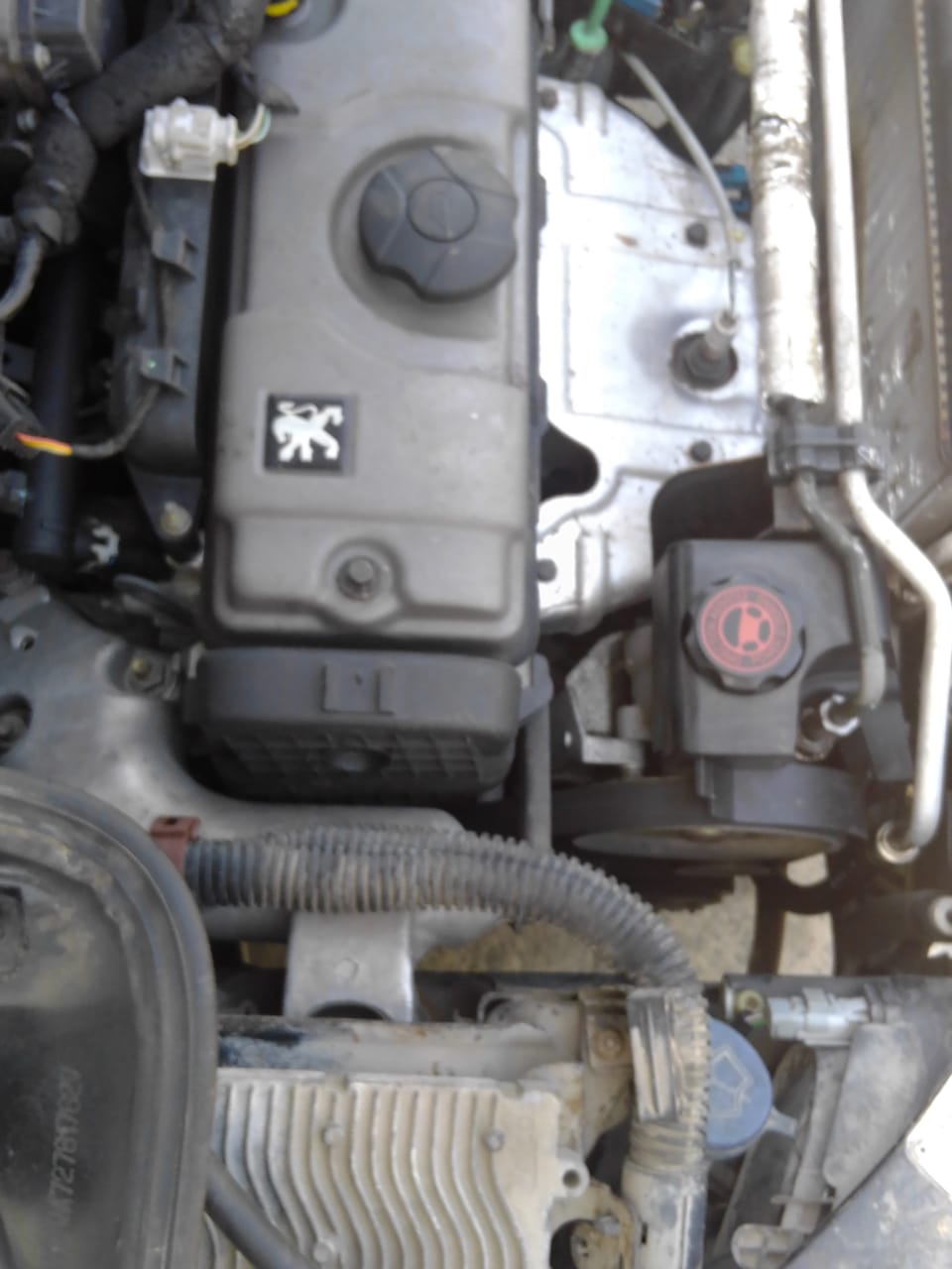 La Marsa&nbsp;Marsa Safsaf&nbsp;Peugeot&nbsp;206&nbsp;Peugeot 206