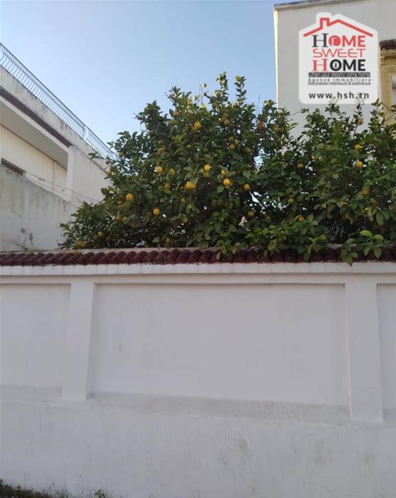 Le Bardo Bouchoucha Vente Autre Immeuble alova  bouchoucha