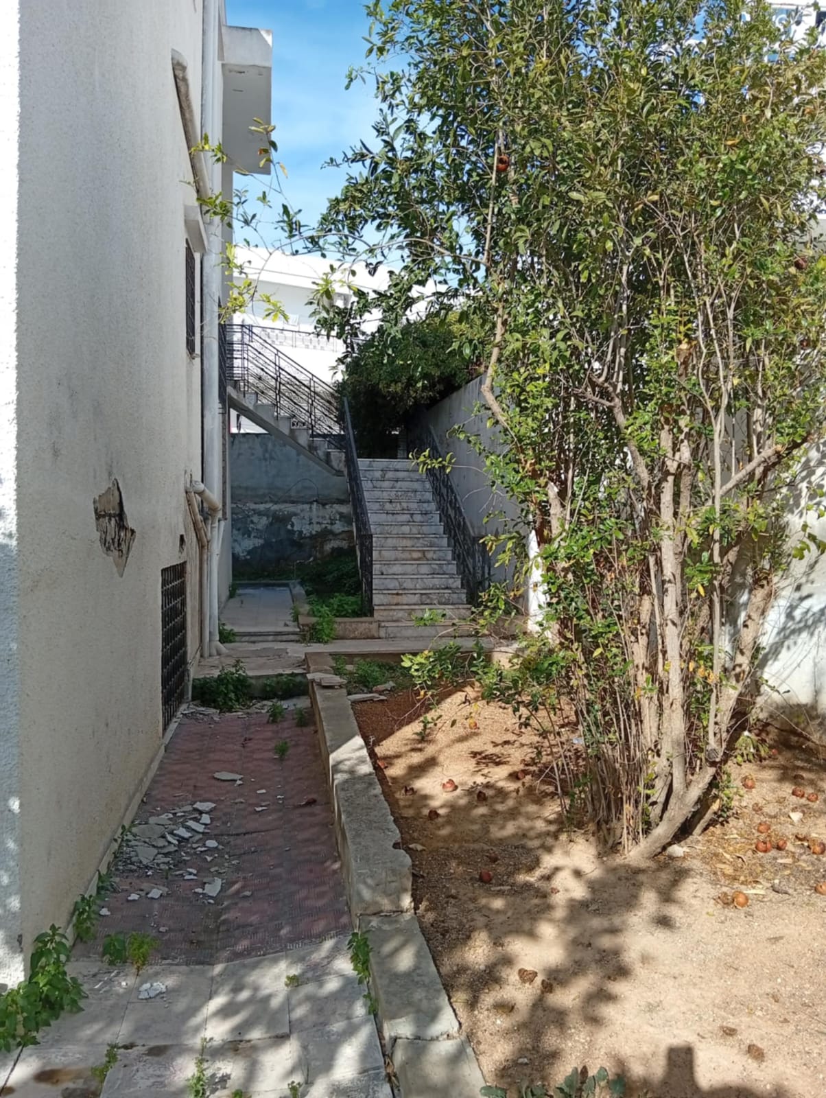 Ariana Ville El Menzah 8 Vente Maisons Une villa  retaper ou  dmolir  menzah8