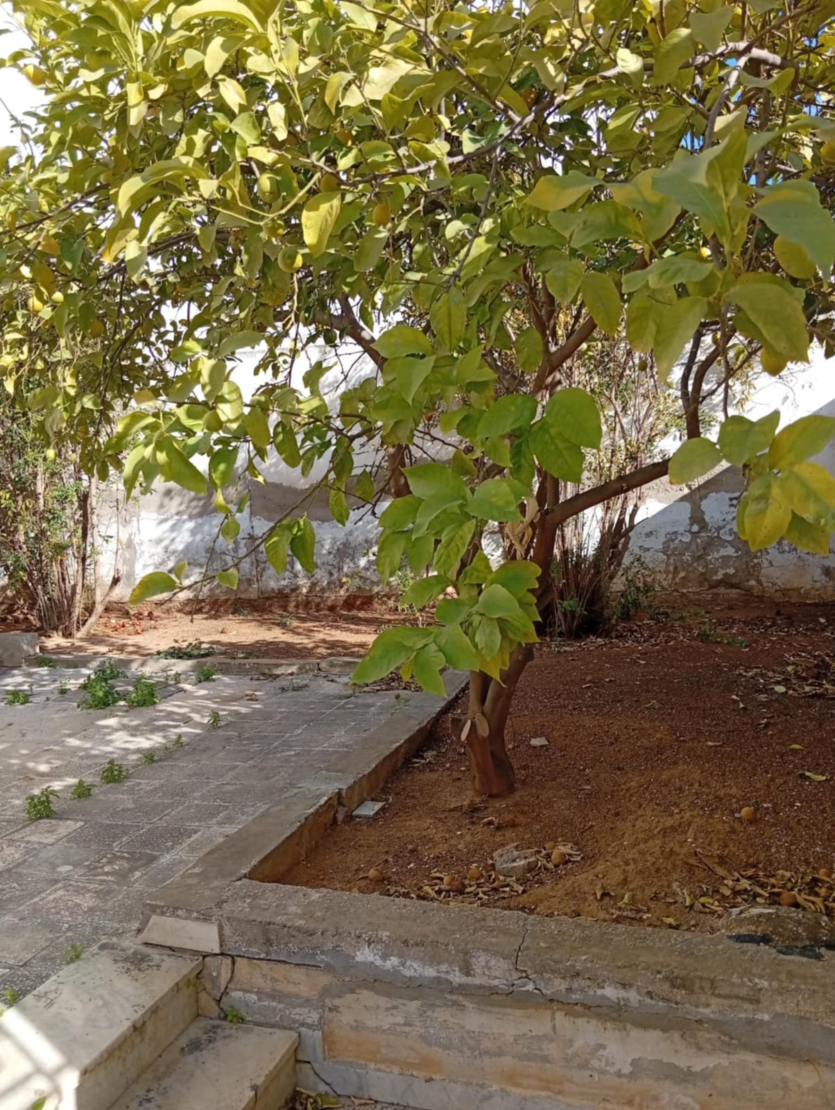 Vente Maisons - Tunisie