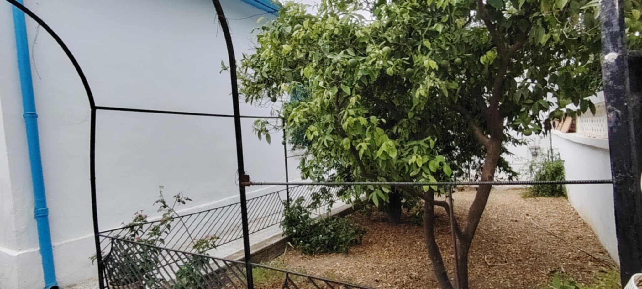 Ben Arous&nbsp;Ben Arous&nbsp;Vente&nbsp;Maisons&nbsp;Terrain avec villa et studio ind�pendant