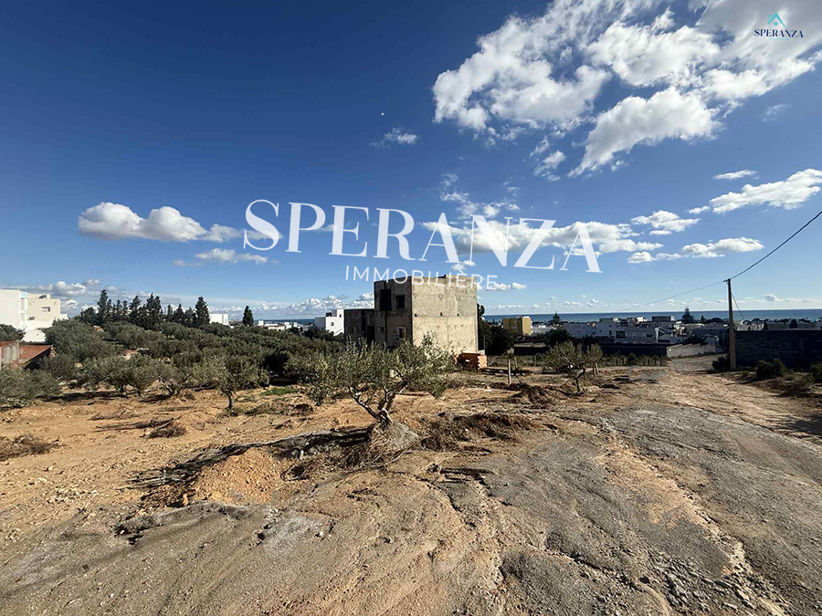 Hammamet&nbsp;Hammamet&nbsp;Vente&nbsp;Surfaces&nbsp;Terrain josephine