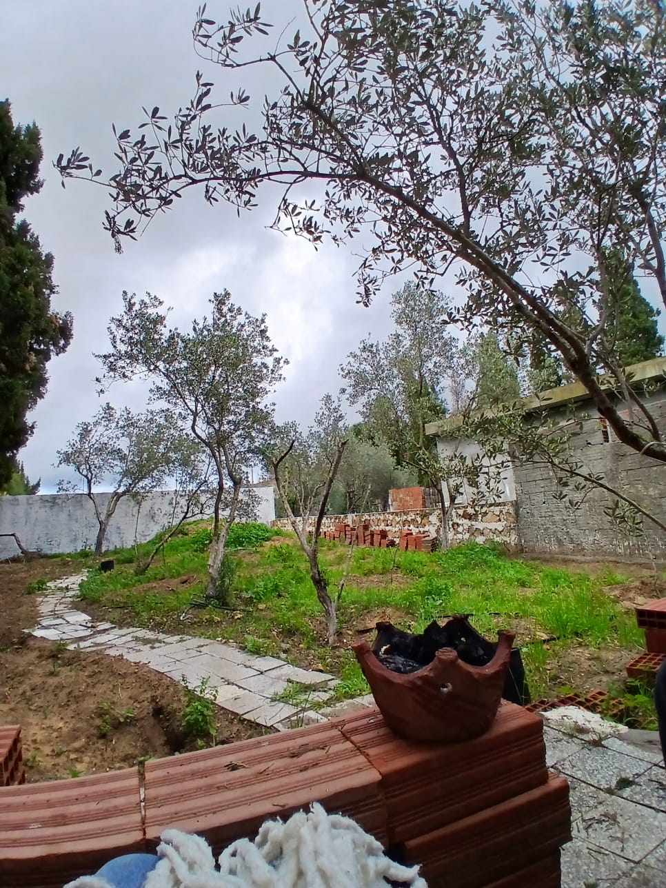 Ras Jebel&nbsp;Cite Kaa El Ballout&nbsp;Vente&nbsp;Maisons&nbsp;Maison s 2  terrain 310 m 2 route plage