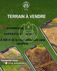 Vente&nbsp;Surfaces - Tunisie