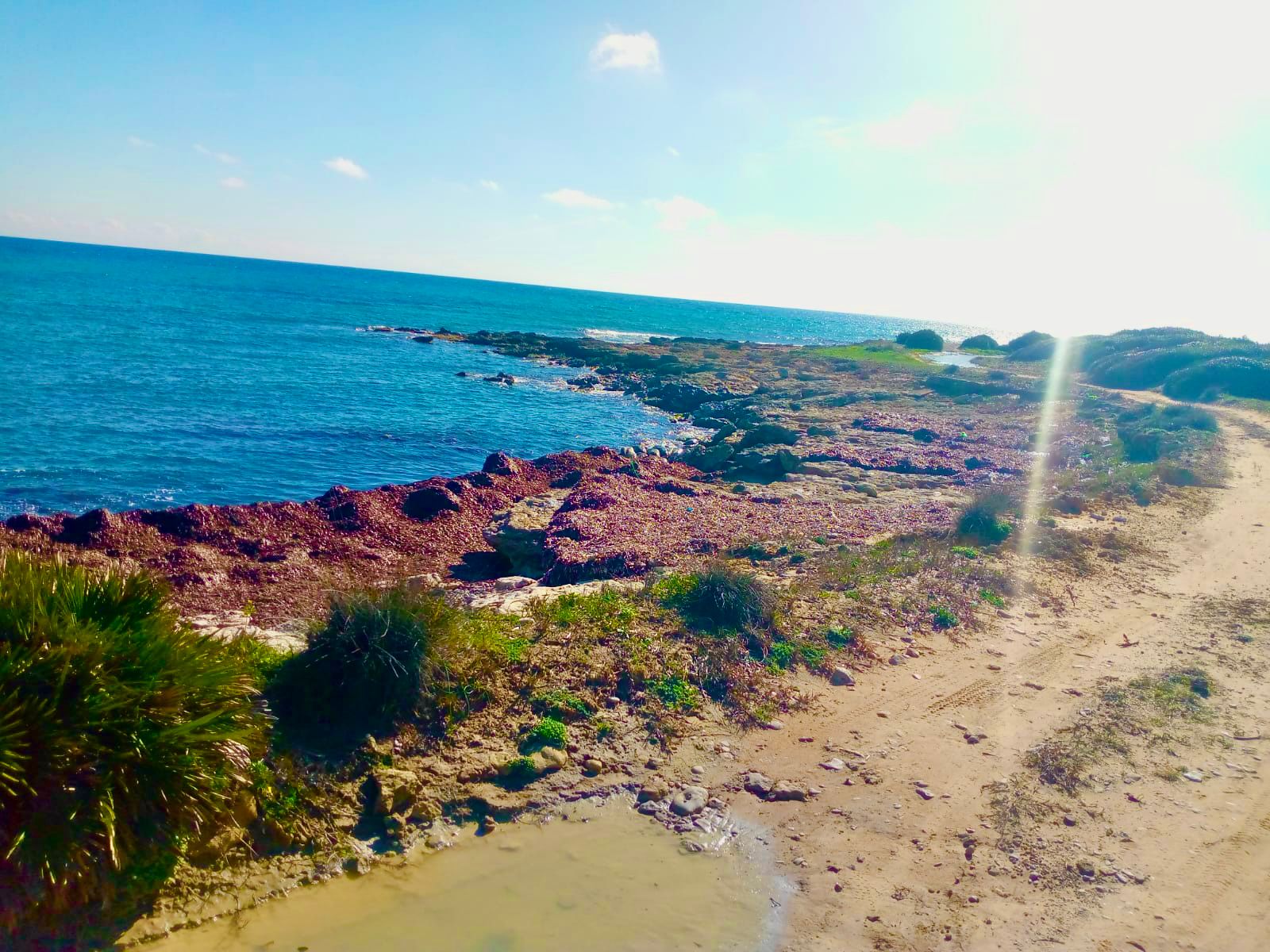 Kelibia&nbsp;Kelibia&nbsp;Vente&nbsp;Surfaces&nbsp;Terrain de r�ve � kerkouane