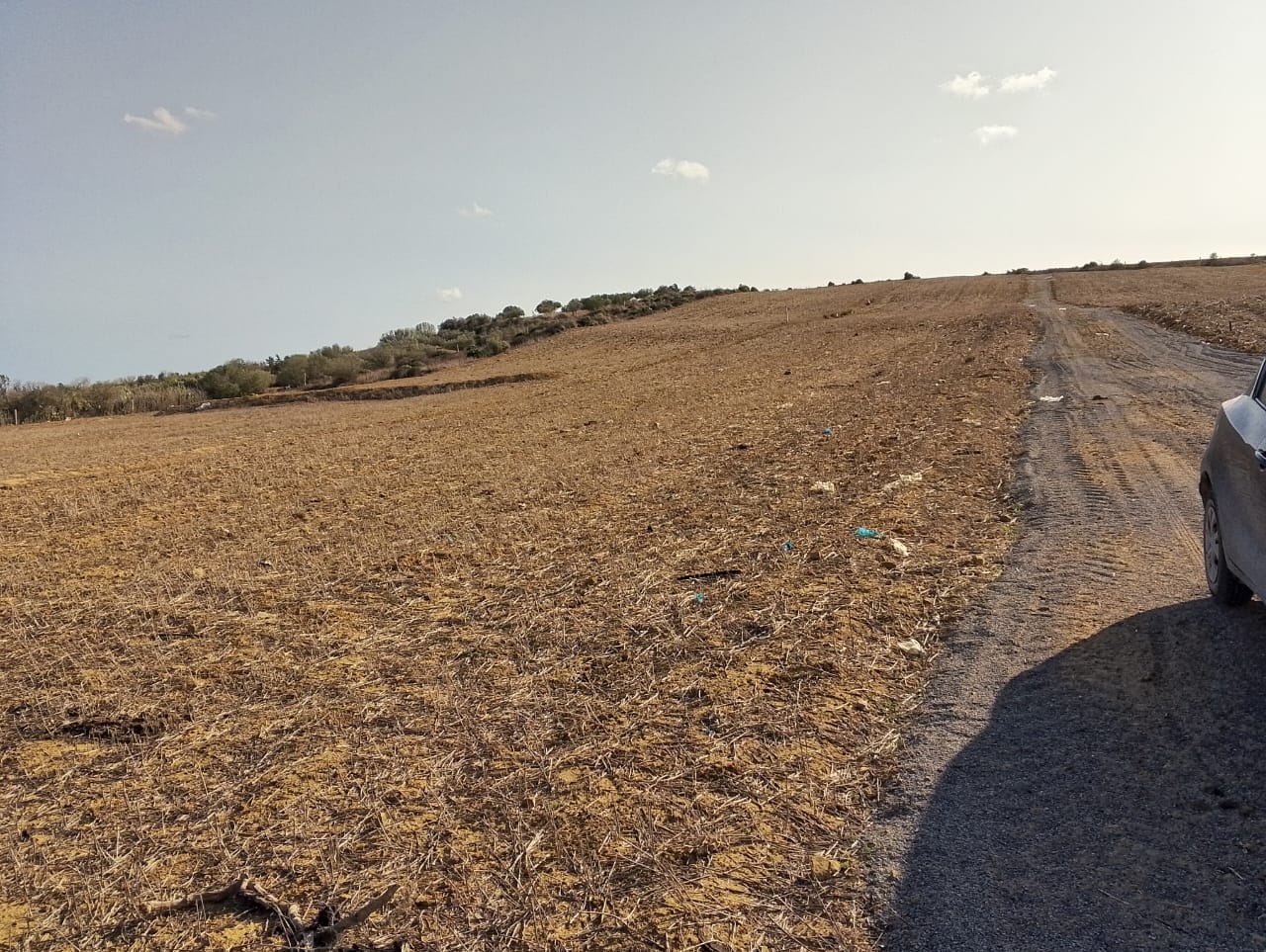 Vente Surfaces - Tunisie