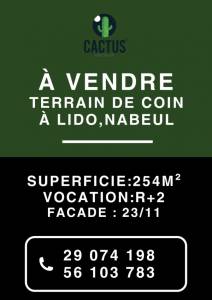 Vente&nbsp;Surfaces - Tunisie