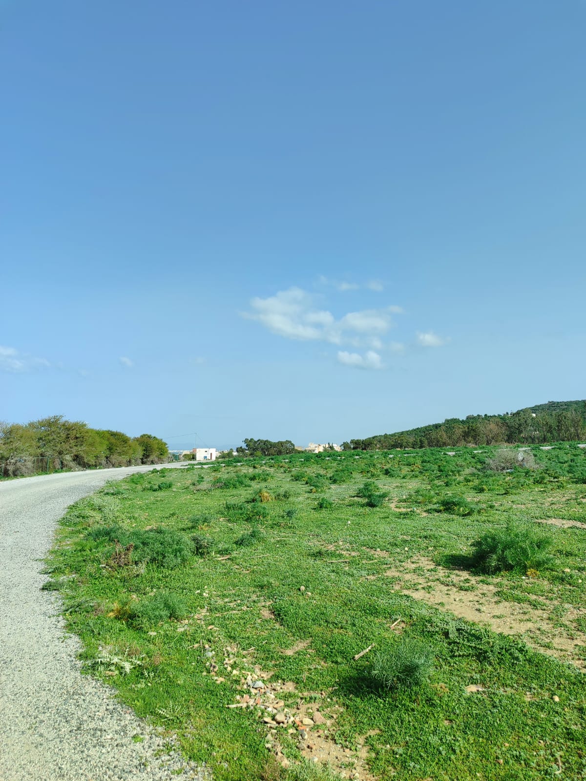 Hammam Lif&nbsp;Bou Kornine&nbsp;Vente&nbsp;Surfaces&nbsp;250 mc opportunit� a saisir