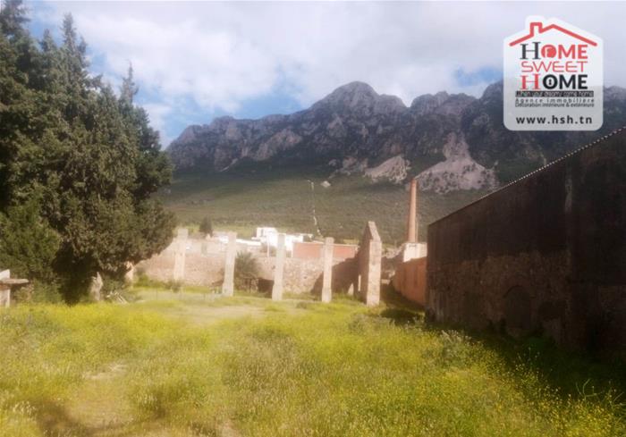 Mornag&nbsp;Mornag&nbsp;Vente&nbsp;Autre&nbsp;D�p�t belha � mornag