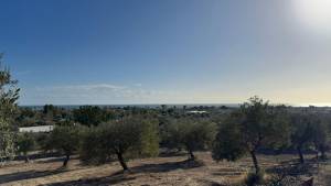 Vente&nbsp;Surfaces - Tunisie