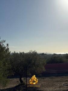 Vente&nbsp;Surfaces - Tunisie