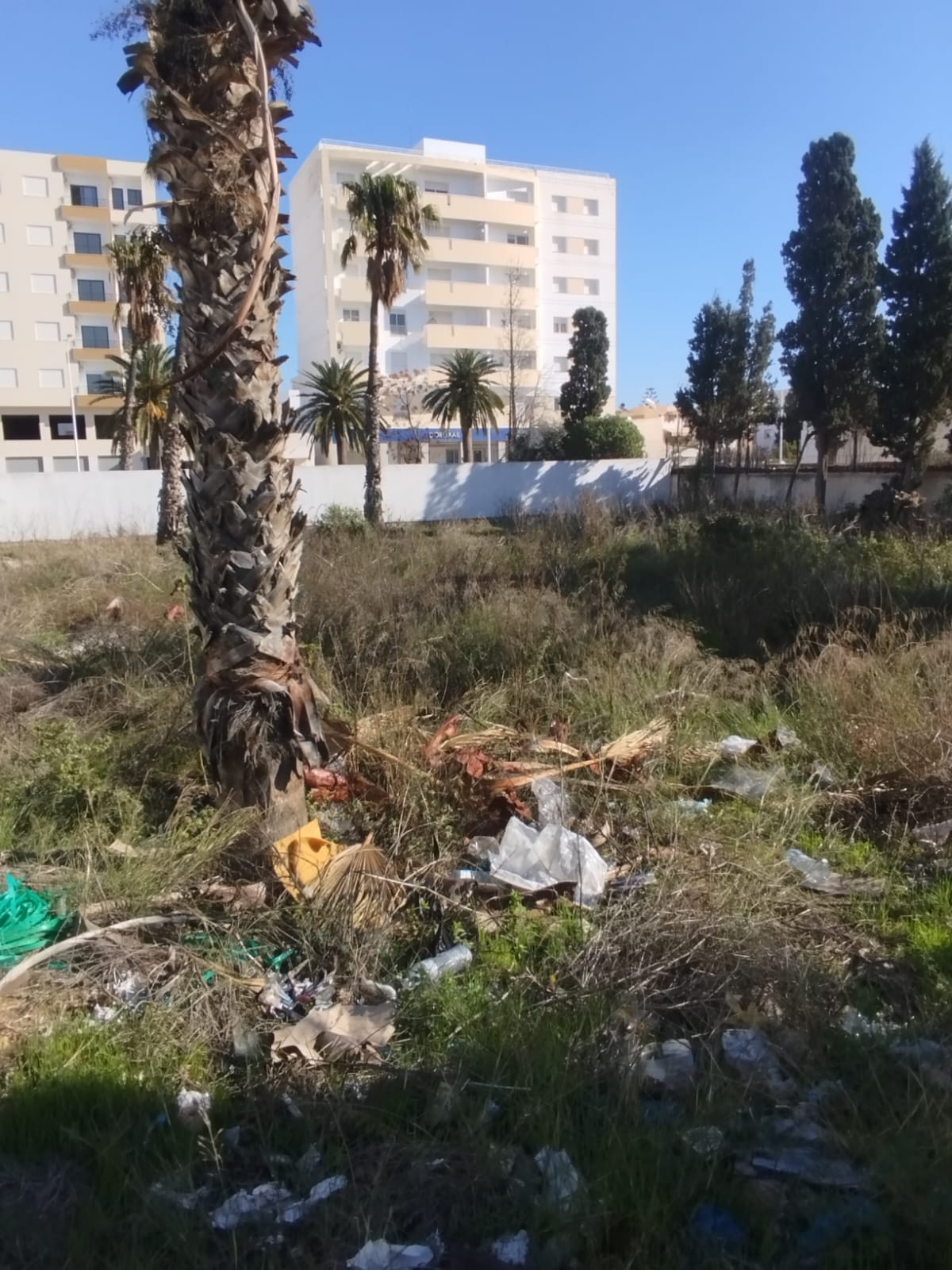 Vente&nbsp;Autre - Tunisie