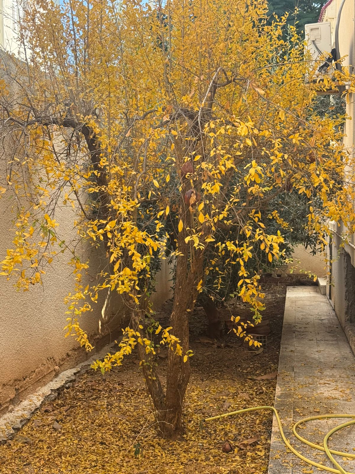 Sousse Jaouhara&nbsp;Cite Sahloul&nbsp;Vente&nbsp;Appart. 3 pi�ces&nbsp;Villa spacieuse avec jardin