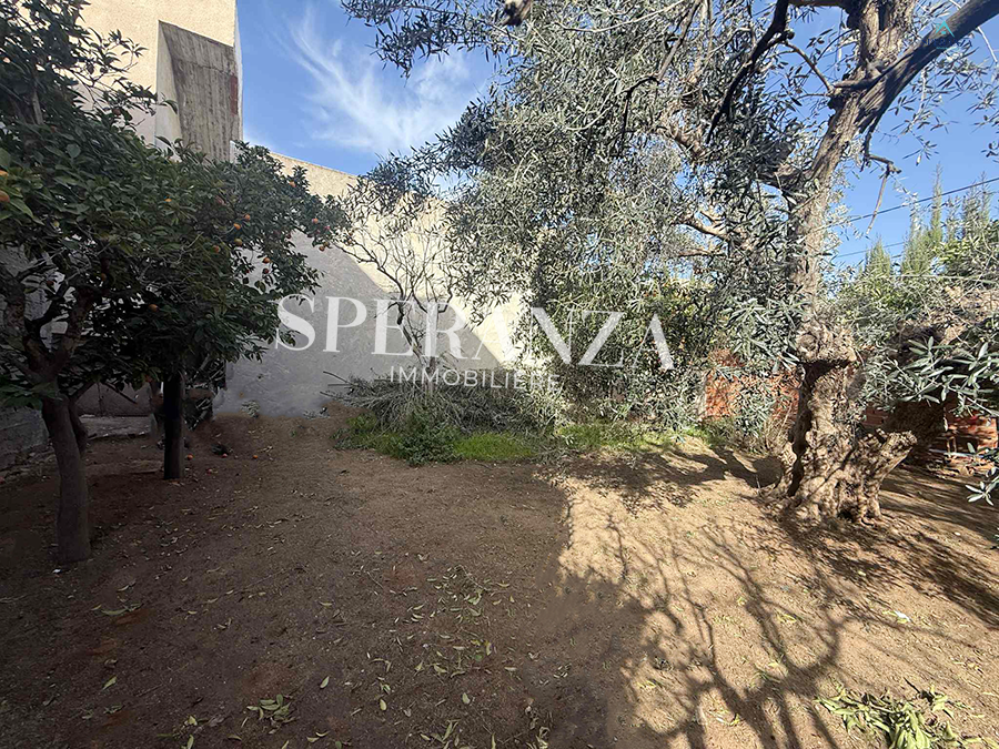 Hammamet&nbsp;Hammamet&nbsp;Vente&nbsp;Surfaces&nbsp;Terrain sacha