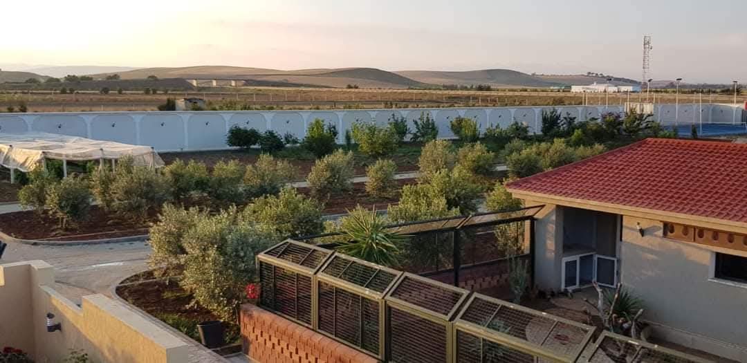 Sidi Thabet&nbsp;Chorfech&nbsp;Vente&nbsp;Autre&nbsp;Belle ferme � chorfech pour projet �cotouristiques