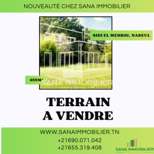 Vente&nbsp;Surfaces - Tunisie