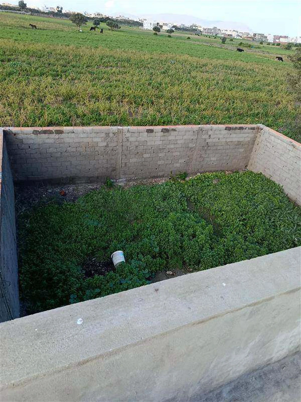 Vente&nbsp;Maisons - Tunisie