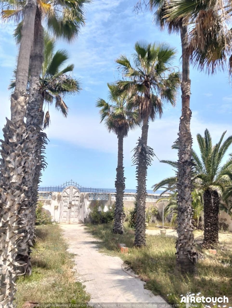 Vente&nbsp;Surfaces - Tunisie