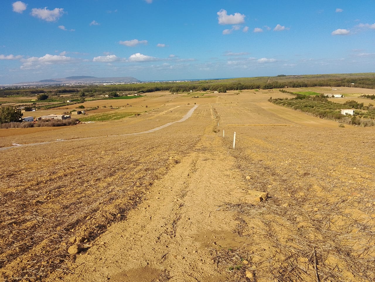 Vente&nbsp;Surfaces - Tunisie