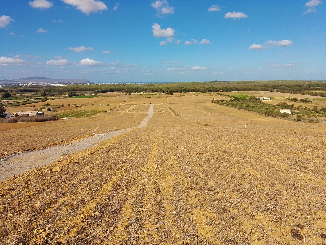 Kelibia&nbsp;Azmour&nbsp;Vente&nbsp;Surfaces&nbsp;Azmour k�libia