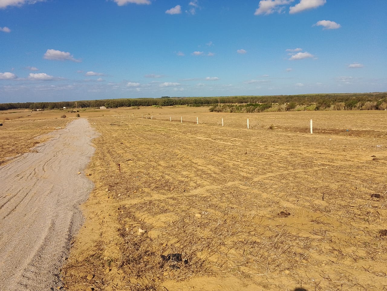 Vente&nbsp;Surfaces - Tunisie