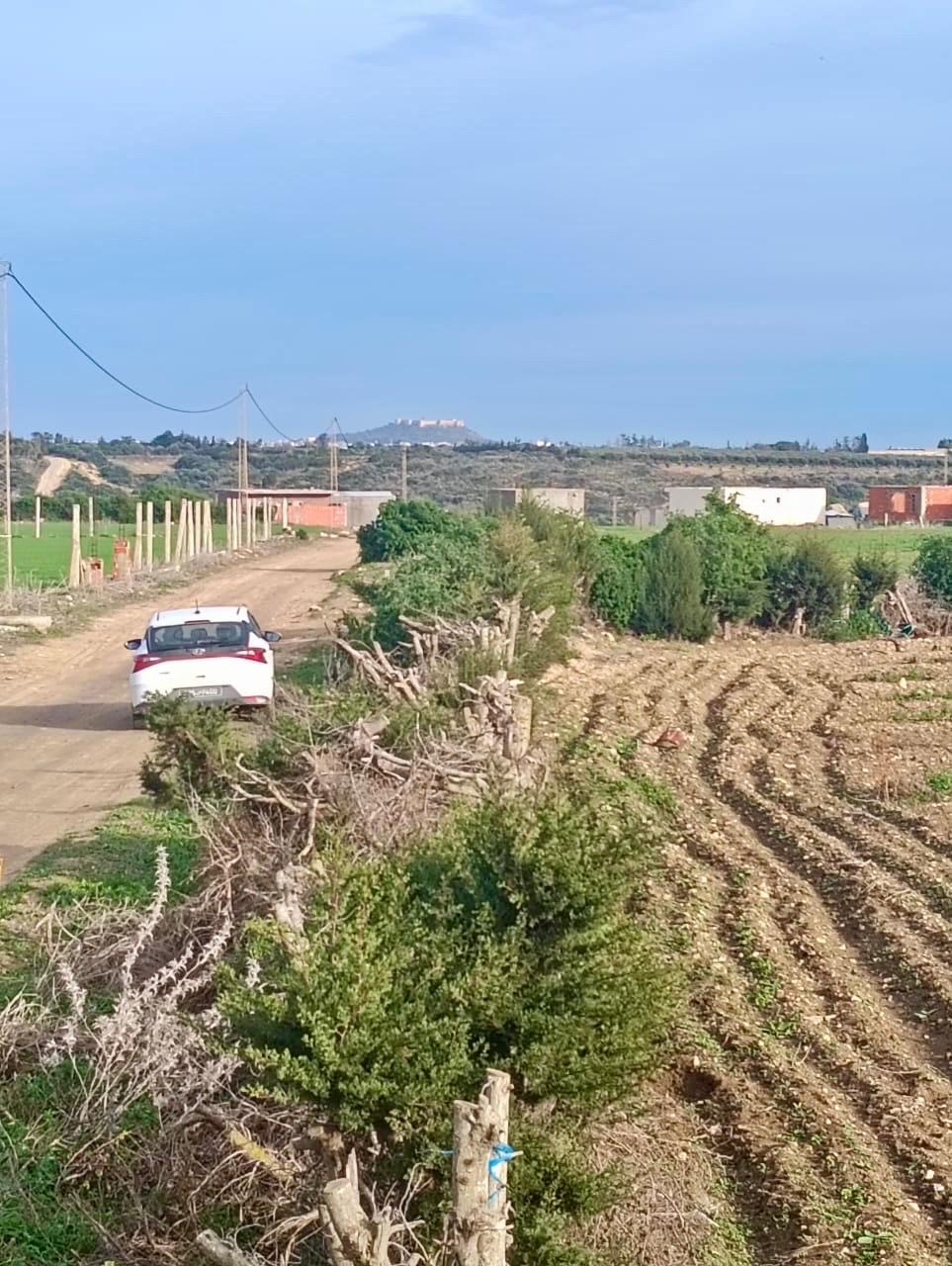 Vente Surfaces - Tunisie