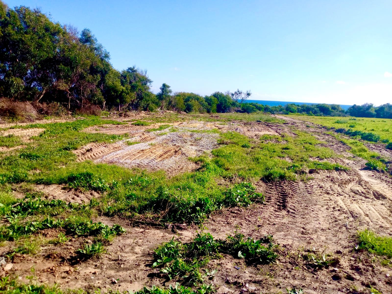 Kelibia&nbsp;Kerkouane&nbsp;Vente&nbsp;Surfaces&nbsp;Terrain � deux pas de la mer