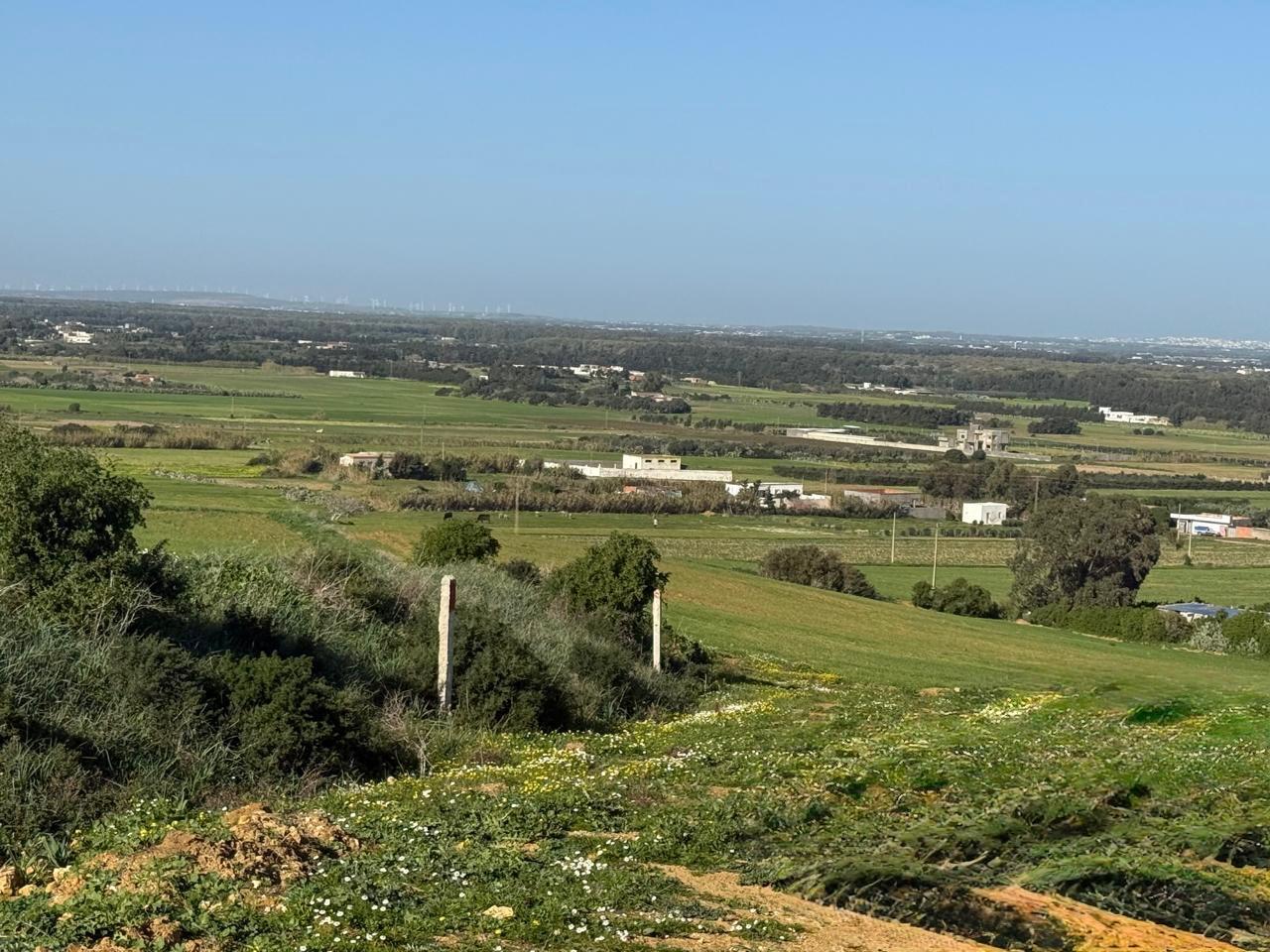 Kelibia&nbsp;Azmour&nbsp;Vente&nbsp;Surfaces&nbsp;Titres possibles