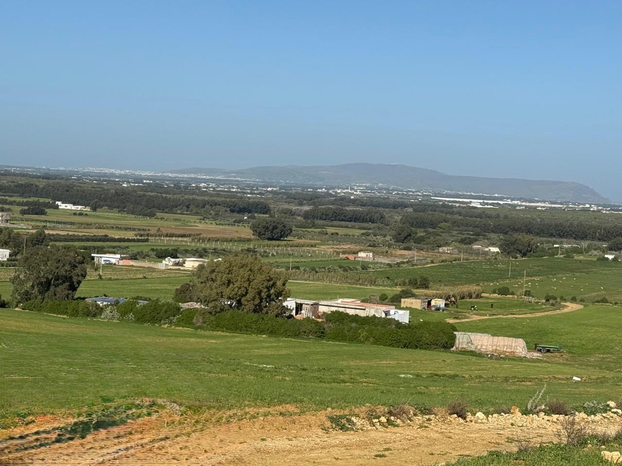 Kelibia&nbsp;Kelibia&nbsp;Vente&nbsp;Surfaces&nbsp;Le meilleur rapport qualit�