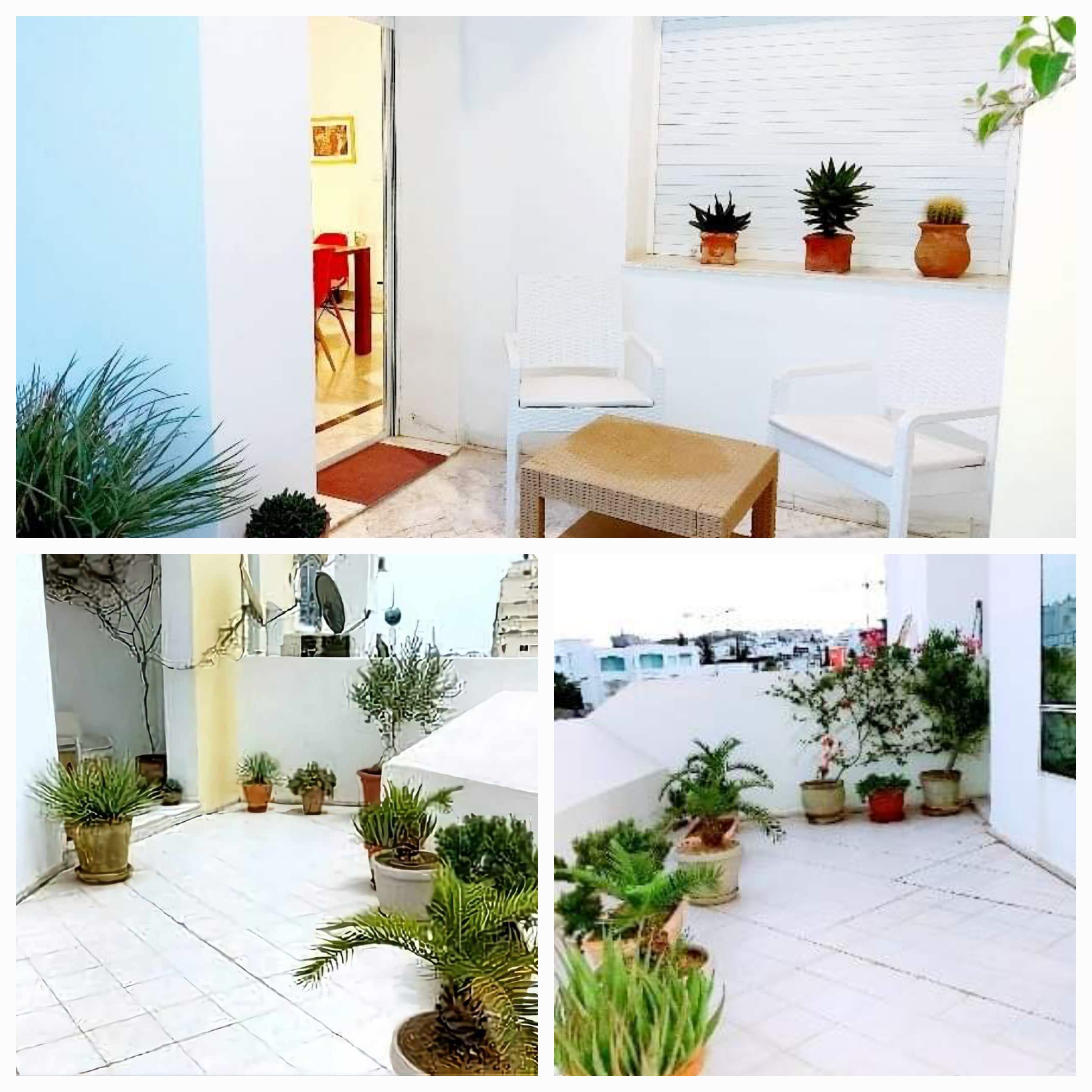 Ariana Ville&nbsp;Cite Ennasr 2&nbsp;Location&nbsp;Appart. 3 pi�ces&nbsp;S2 meubl� � l'ann�e pr �tranger