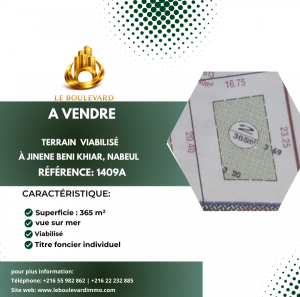Vente&nbsp;Surfaces - Tunisie