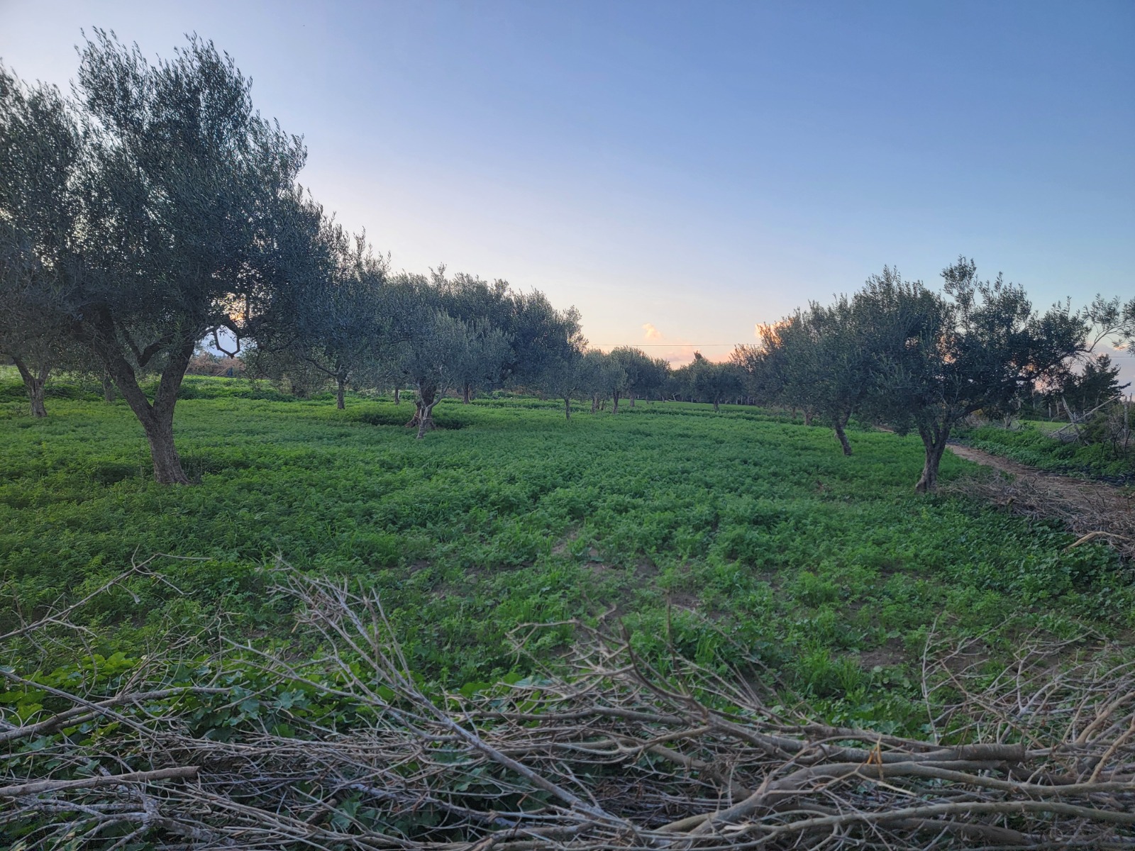 Vente&nbsp;Autre - Tunisie