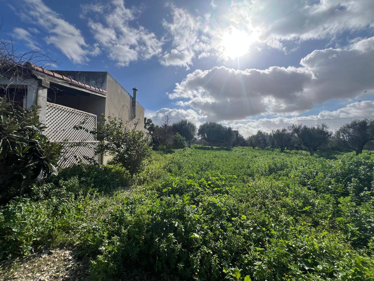 Sidi Thabet&nbsp;Sidi Thabet&nbsp;Vente&nbsp;Surfaces&nbsp;Un superbe terrain  avec maison � sidi younes