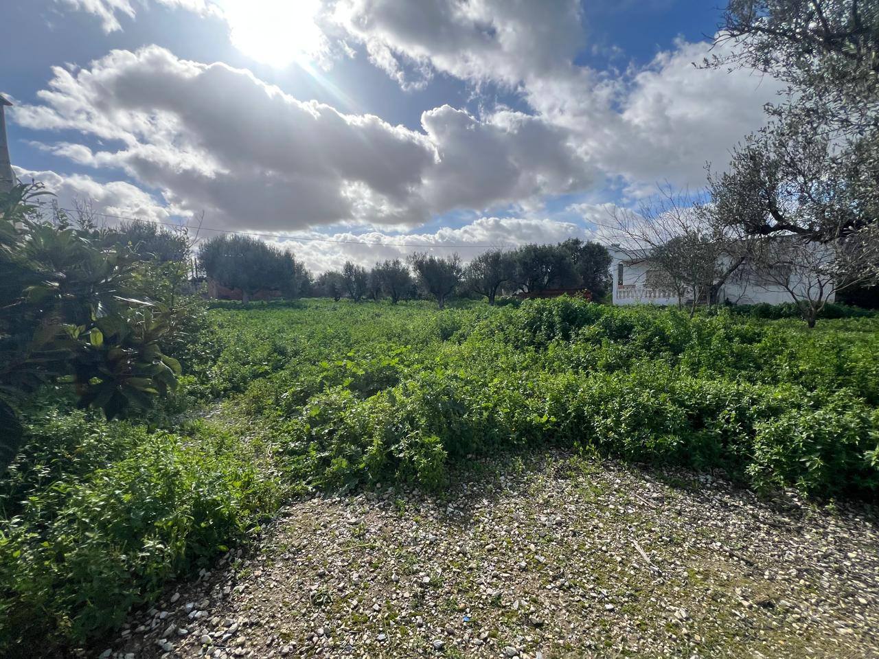 Vente&nbsp;Surfaces - Tunisie