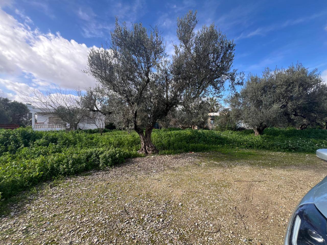 Vente&nbsp;Surfaces - Tunisie