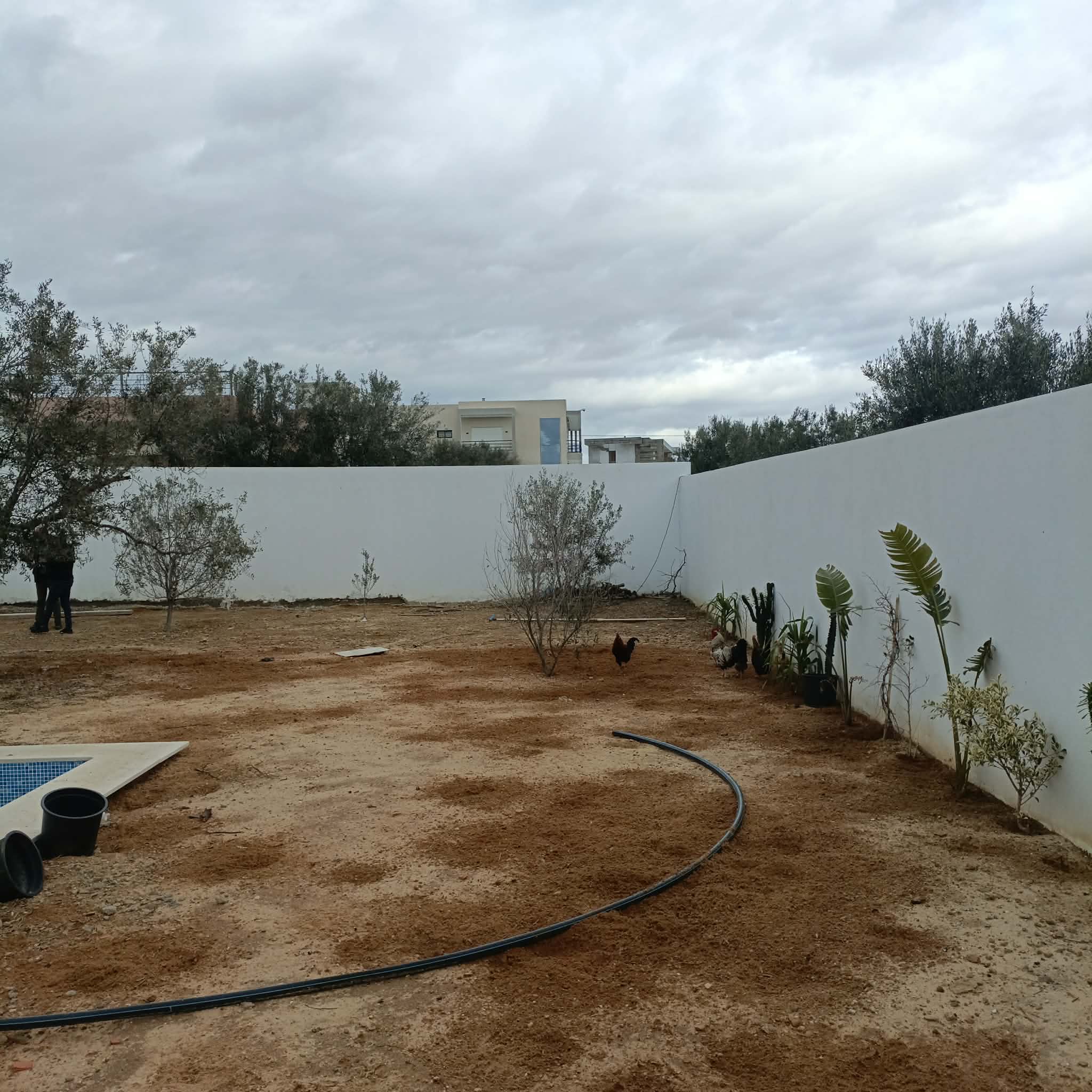 Hammamet&nbsp;Hammamet&nbsp;Vente&nbsp;Maisons&nbsp;Av villa 650m finie � hammamet sud