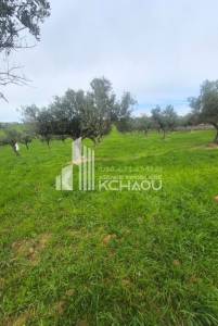 Vente&nbsp;Surfaces - Tunisie