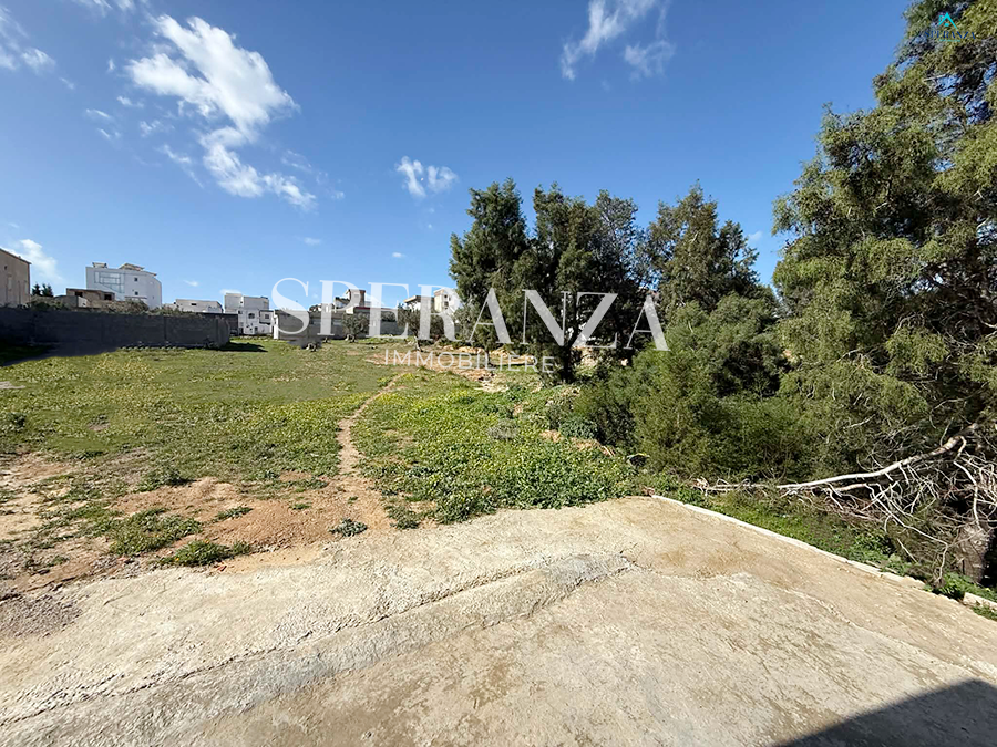 Hammamet&nbsp;Hammamet&nbsp;Vente&nbsp;Surfaces&nbsp;Terrain darej