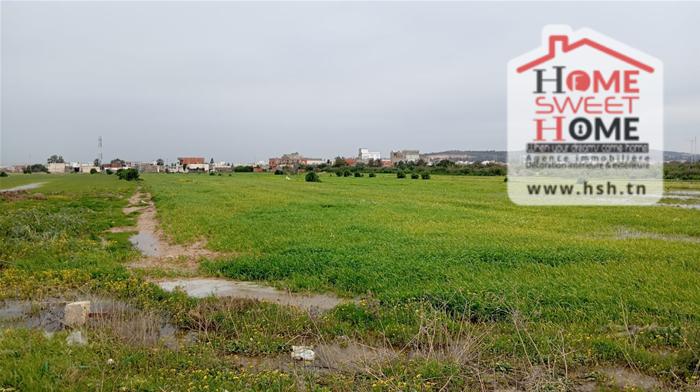 Vente&nbsp;Surfaces - Tunisie