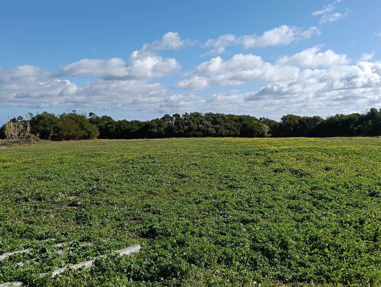 Kelibia&nbsp;Kerkouane&nbsp;Vente&nbsp;Autre&nbsp;Investissez � kerkouane