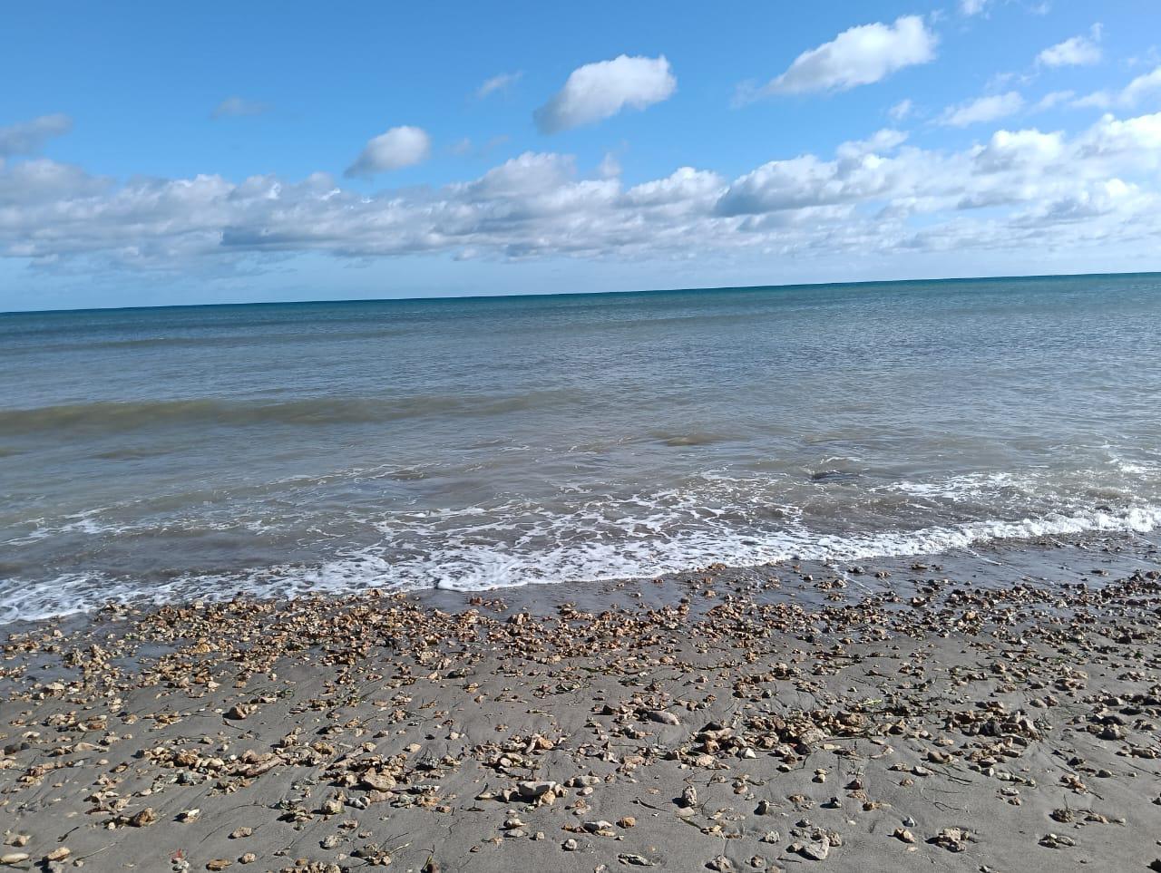 Vente&nbsp;Autre - Tunisie