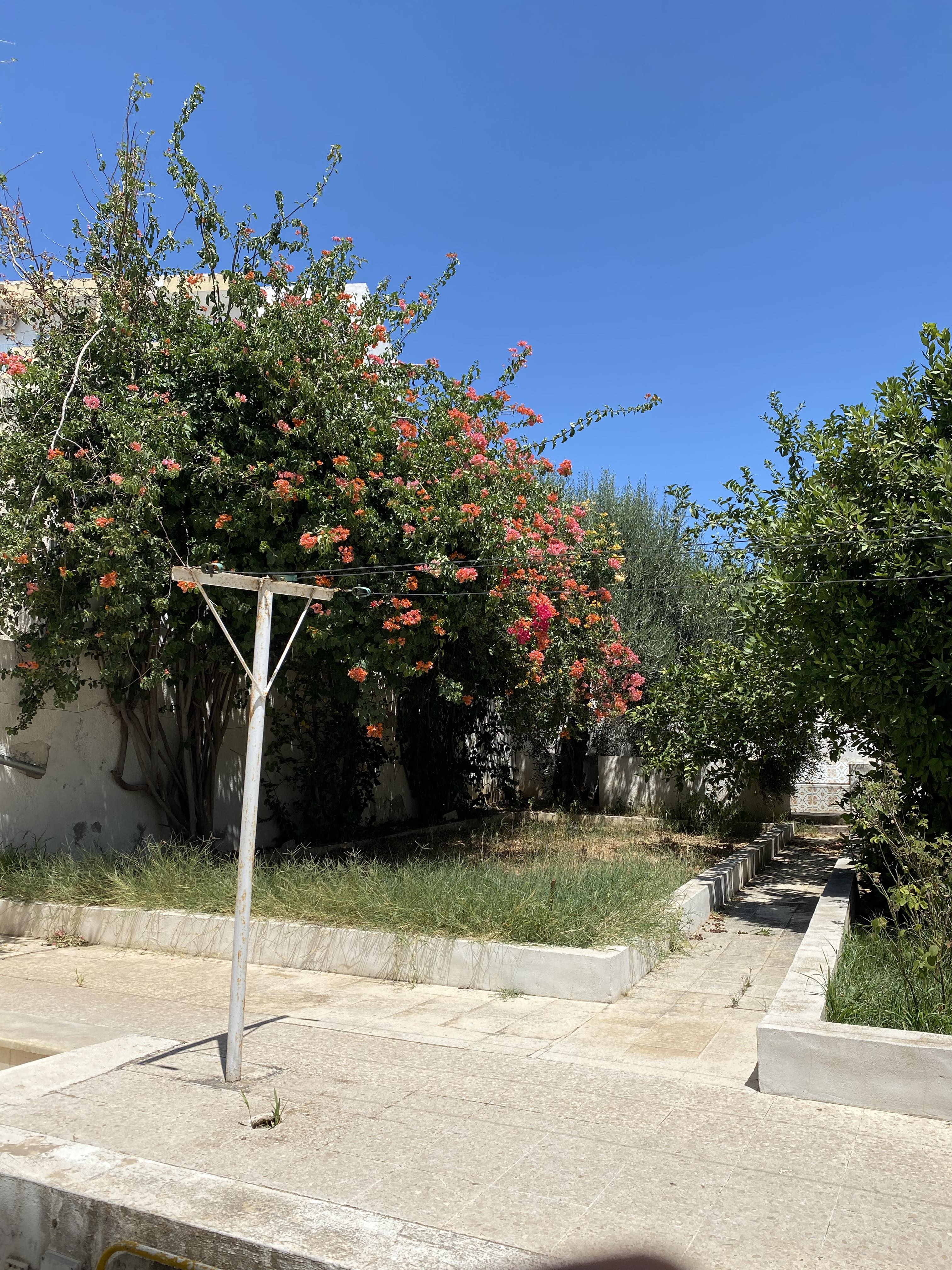 Le Bardo&nbsp;Bouchoucha&nbsp;Vente&nbsp;Maisons&nbsp;Particulier vend deux villas en excellent etat