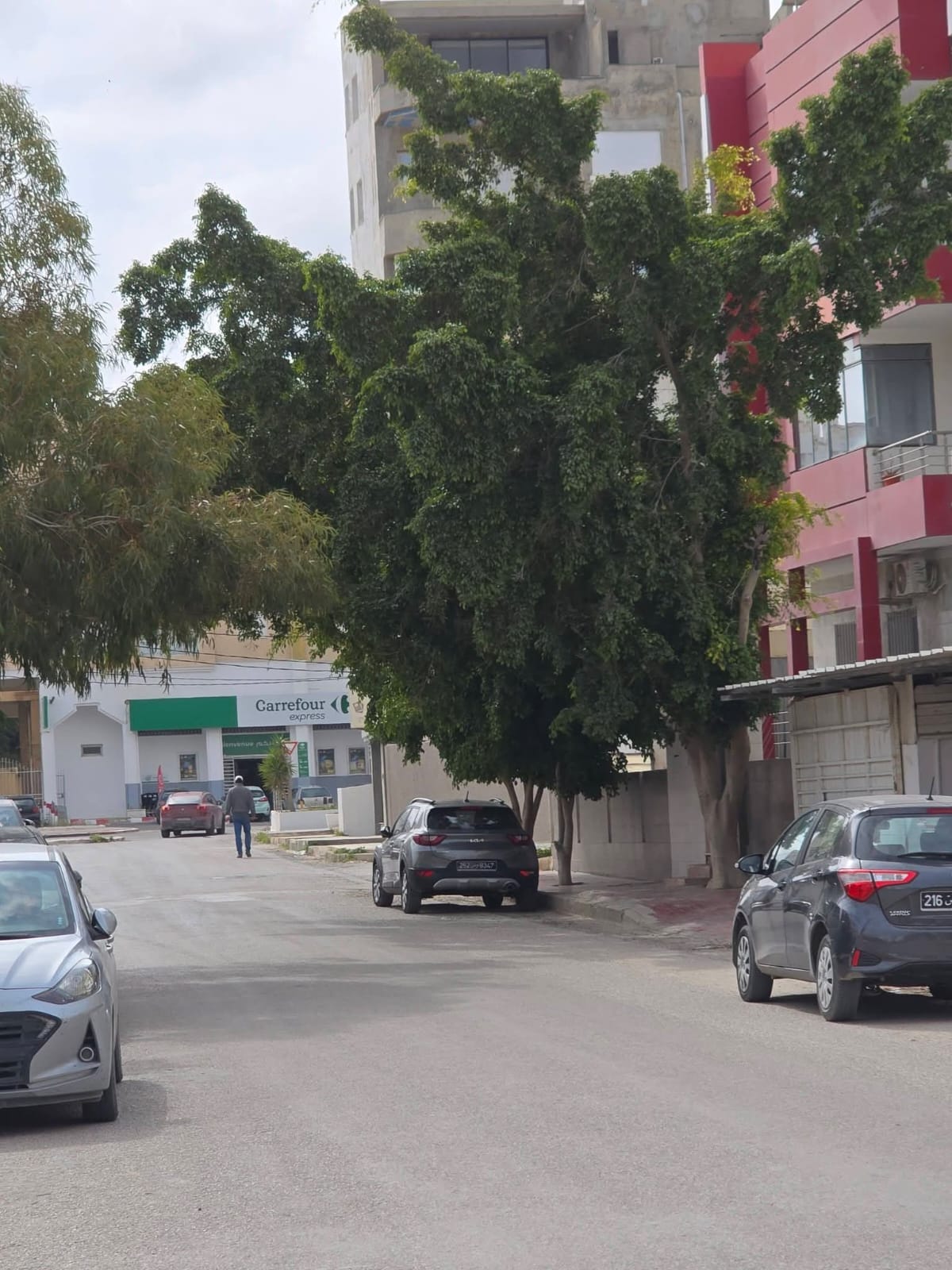 Vente Surfaces - Tunisie