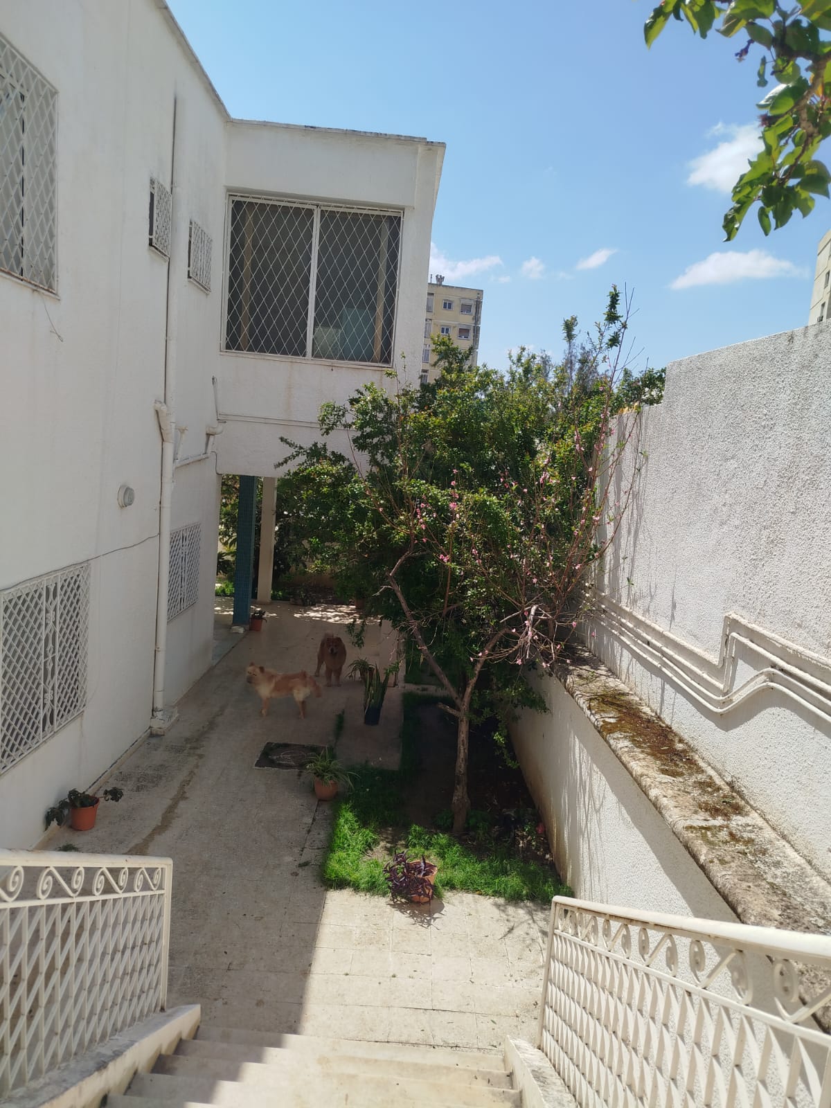 Ariana Ville&nbsp;El Menzah 6&nbsp;Vente&nbsp;Appart. 5 pi�ces+&nbsp;Un spacieux rdc de villa s4 ind�pendant � menzah6