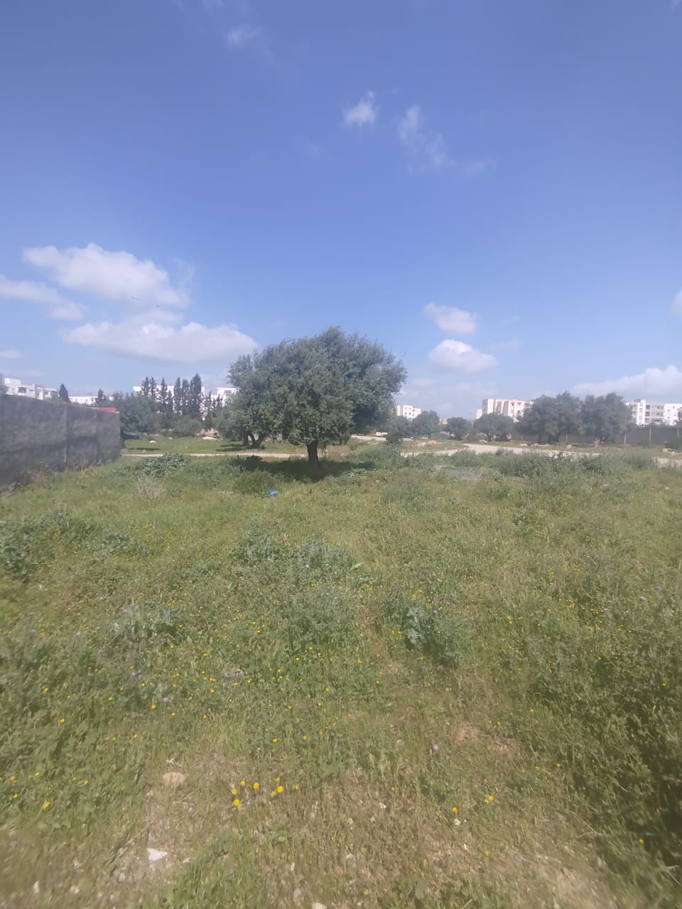 Mannouba&nbsp;La Mannouba&nbsp;Vente&nbsp;Surfaces&nbsp;Un lot de terrain � la mannouba