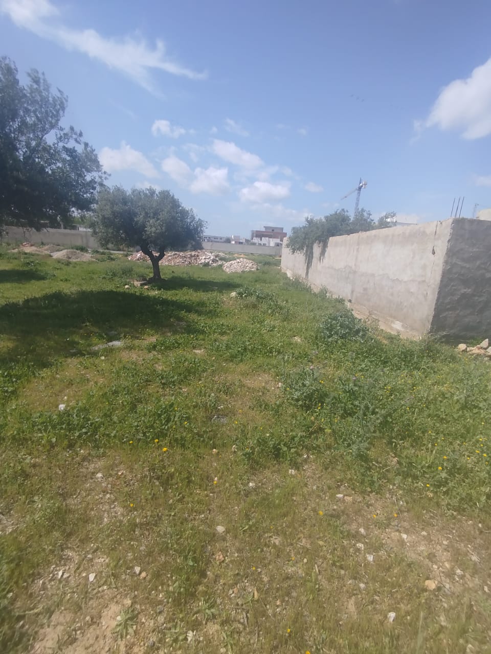 Mannouba&nbsp;La Mannouba&nbsp;Vente&nbsp;Surfaces&nbsp;Un lot de terrain � la mannouba