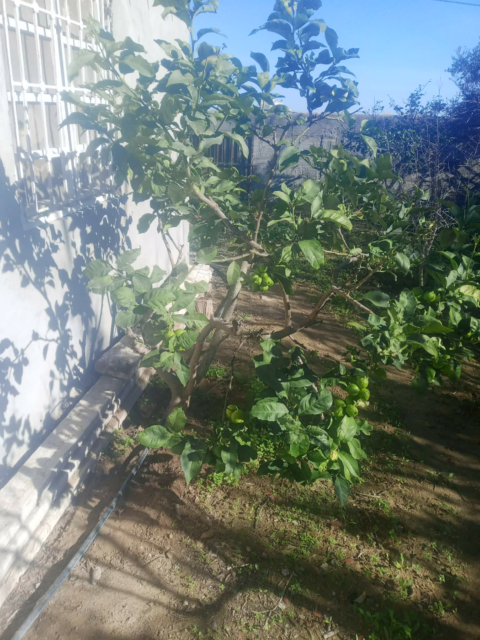 Vente&nbsp;Maisons - Tunisie
