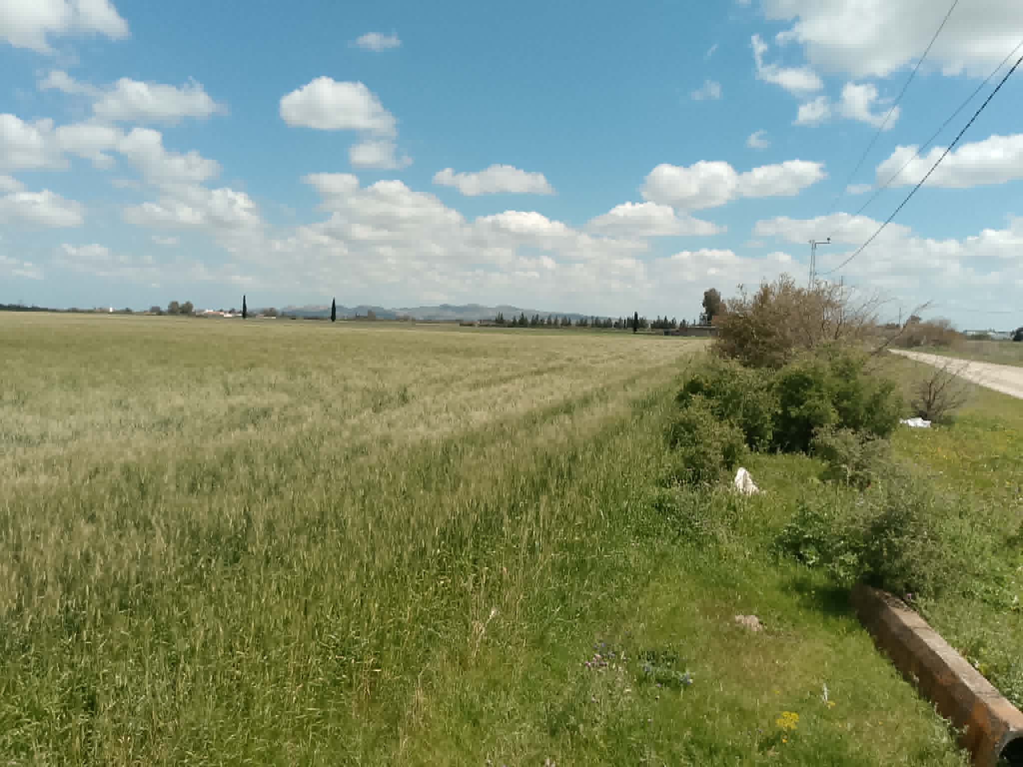 El Menzah&nbsp;El Manar 2&nbsp;Vente&nbsp;Surfaces&nbsp;Opportunit� d investissement � ne pas rater