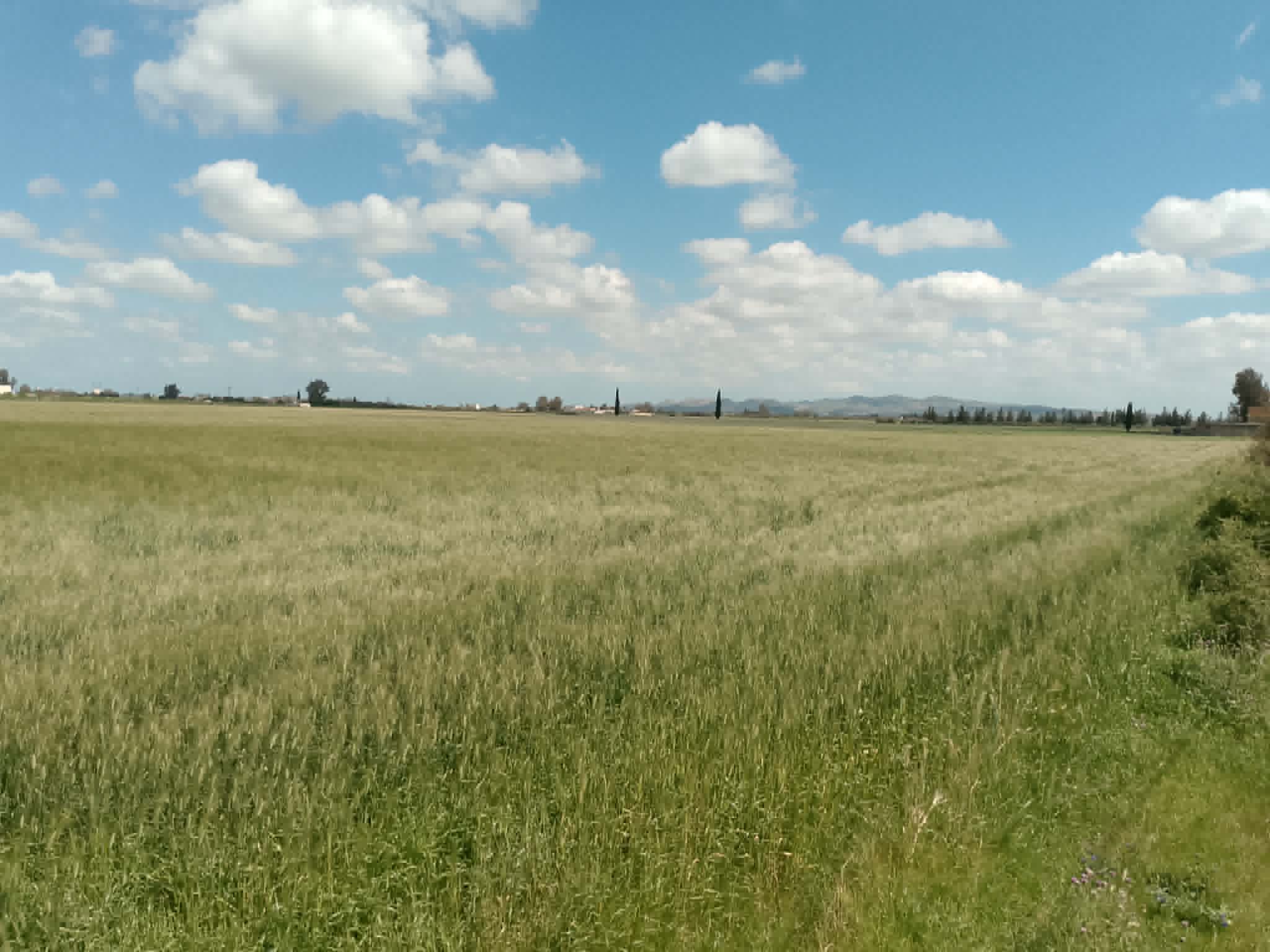 Vente Surfaces - Tunisie